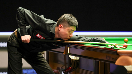 以其顽强的 以其顽强的